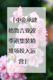 中企承建格鲁吉亚波季港集装箱堆场投入运营