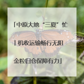 中原大地“三夏”忙丨机收运输畅行无阻 金粒归仓保障有力