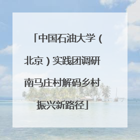 中国石油大学（北京）实践团调研南马庄村解码乡村振兴新路径
