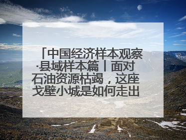 中国经济样本观察·县域样本篇丨面对石油资源枯竭，这座戈壁小城是如何走出困境的？