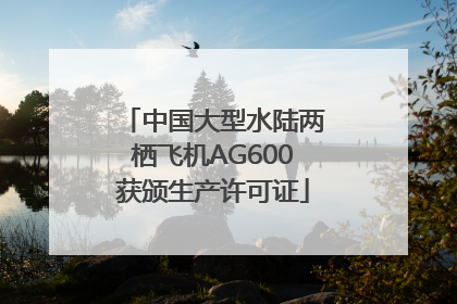 中国大型水陆两栖飞机AG600获颁生产许可证