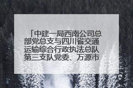 中建一局西南公司总部党总支与四川省交通运输综合行政执法总队第三支队党委、万源市草坝镇莲花院村党支部开展党建联建