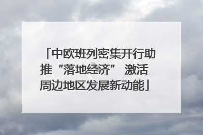 中欧班列密集开行助推“落地经济” 激活周边地区发展新动能