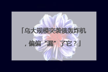 乌大规模突袭俄轰炸机，偏偏“漏”了它？