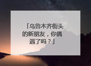 乌鲁木齐街头的新朋友，你偶遇了吗？