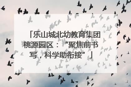 乐山城北幼教育集团桃源园区：“聚焦前书写，科学助衔接”