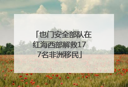 也门安全部队在红海西部解救177名非洲移民