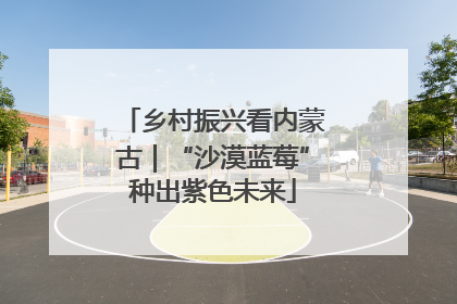 乡村振兴看内蒙古｜“沙漠蓝莓”种出紫色未来