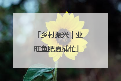 乡村振兴｜业旺鱼肥夏捕忙
