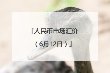 人民币市场汇价（6月12日）