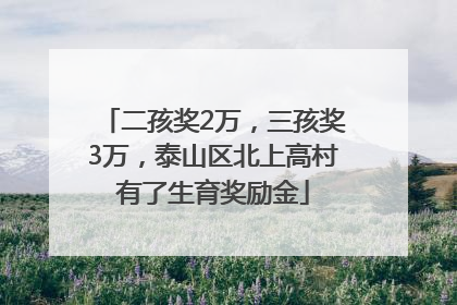 二孩奖2万，三孩奖3万，泰山区北上高村有了生育奖励金