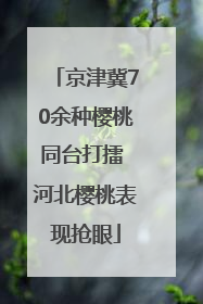 京津冀70余种樱桃同台打擂 河北樱桃表现抢眼