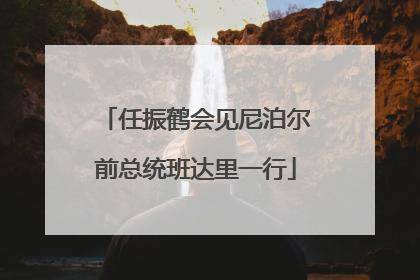任振鹤会见尼泊尔前总统班达里一行