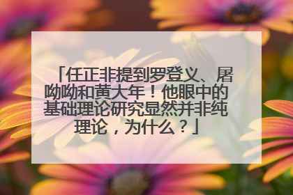 任正非提到罗登义、屠呦呦和黄大年！他眼中的基础理论研究显然并非纯理论，为什么？