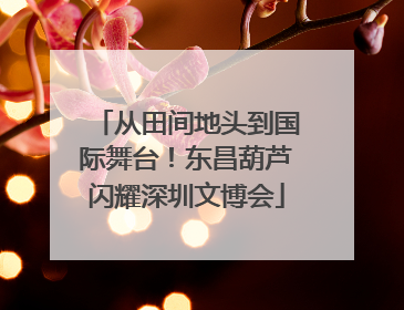 从田间地头到国际舞台！东昌葫芦闪耀深圳文博会