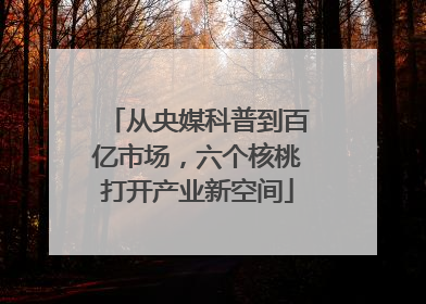 从央媒科普到百亿市场，六个核桃打开产业新空间