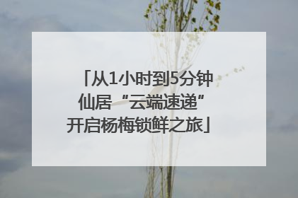 从1小时到5分钟 仙居“云端速递”开启杨梅锁鲜之旅