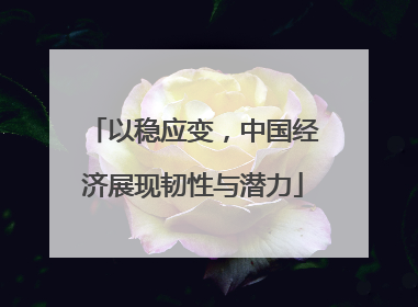 以稳应变，中国经济展现韧性与潜力