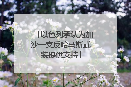 以色列承认为加沙一支反哈马斯武装提供支持
