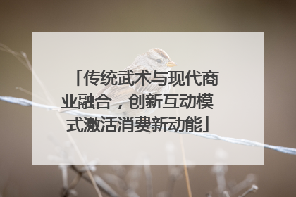 传统武术与现代商业融合，创新互动模式激活消费新动能