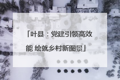叶县：党建引领高效能 绘就乡村新图景