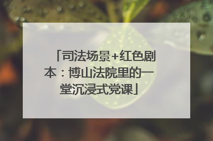 司法场景+红色剧本：博山法院里的一堂沉浸式党课