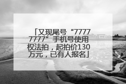 又现尾号“77777777”手机号使用权法拍，起拍价130万元，已有人报名