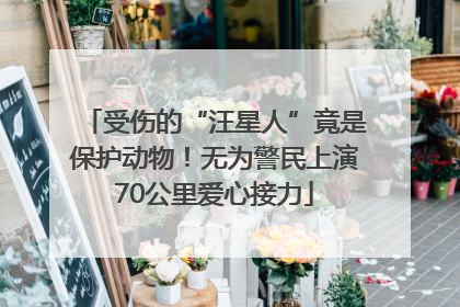 受伤的“汪星人”竟是保护动物！无为警民上演70公里爱心接力