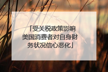 受关税政策影响 美国消费者对自身财务状况信心恶化
