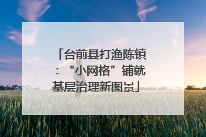 台前县打渔陈镇：“小网格”铺就基层治理新图景