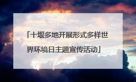 十堰多地开展形式多样世界环境日主题宣传活动