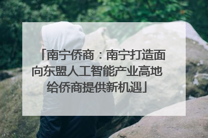 南宁侨商：南宁打造面向东盟人工智能产业高地给侨商提供新机遇