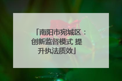南阳市宛城区：创新监督模式 提升执法质效