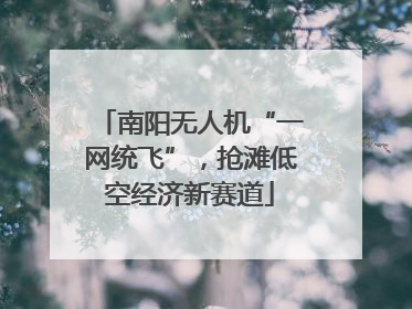 南阳无人机“一网统飞”，抢滩低空经济新赛道