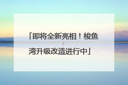 即将全新亮相！梭鱼湾升级改造进行中