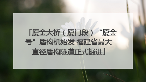 厦金大桥（厦门段）“厦金号”盾构机始发 福建省最大直径盾构隧道正式掘进