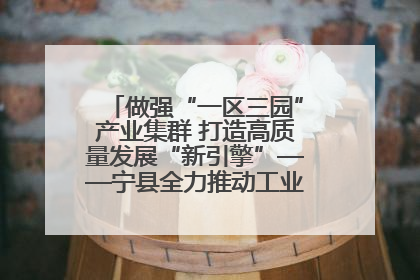 做强“一区三园”产业集群 打造高质量发展“新引擎”——宁县全力推动工业经济提质增效