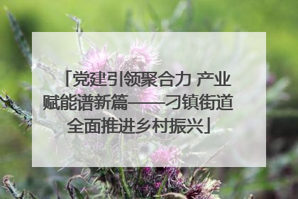 党建引领聚合力 产业赋能谱新篇——刁镇街道全面推进乡村振兴