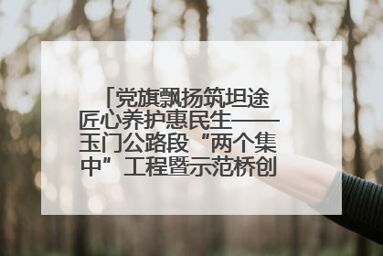 党旗飘扬筑坦途 匠心养护惠民生——玉门公路段“两个集中”工程暨示范桥创建项目圆满收官