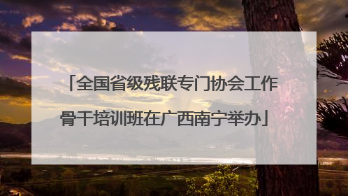 全国省级残联专门协会工作骨干培训班在广西南宁举办