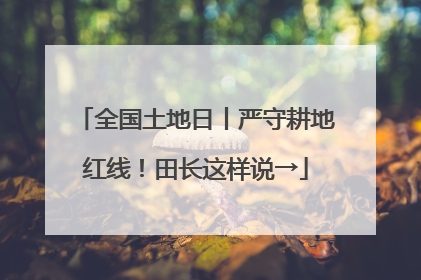 全国土地日丨严守耕地红线！田长这样说→