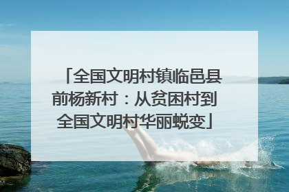 全国文明村镇临邑县前杨新村：从贫困村到全国文明村华丽蜕变