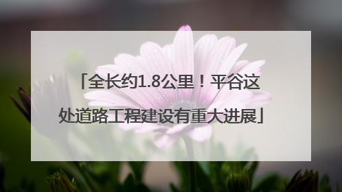 全长约1.8公里！平谷这处道路工程建设有重大进展