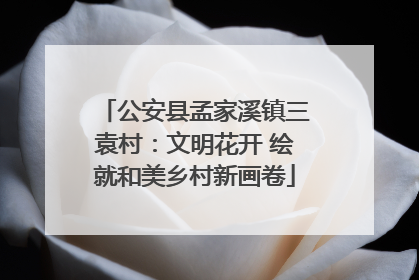 公安县孟家溪镇三袁村：文明花开 绘就和美乡村新画卷