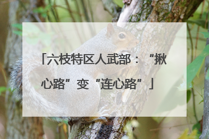 六枝特区人武部：“揪心路”变“连心路”