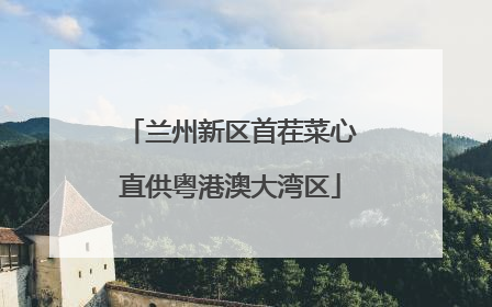 兰州新区首茬菜心直供粤港澳大湾区
