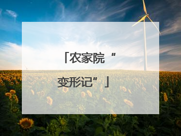 农家院“变形记”