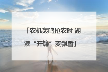农机轰鸣抢农时 湖滨“开镰”麦飘香