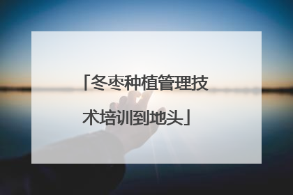 冬枣种植管理技术培训到地头