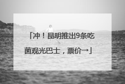 冲！昆明推出9条吃菌观光巴士，票价→